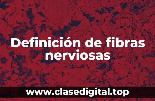 Definición de fibras nerviosas