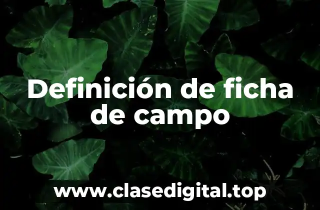 Definición de ficha de campo