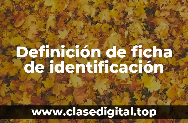 Definición de ficha de identificación