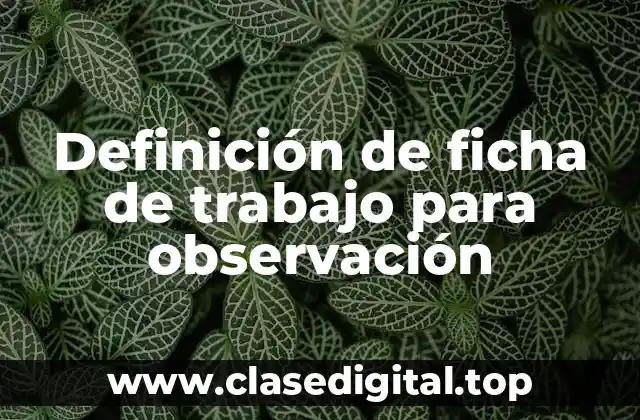 Definición de ficha de trabajo para observación