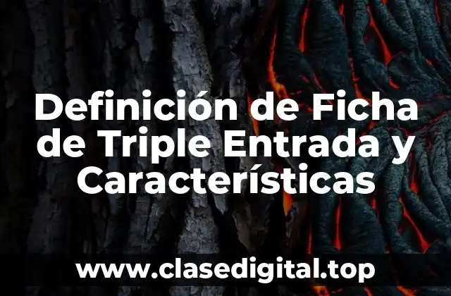 Definición de Ficha de Triple Entrada y Características