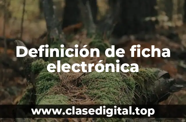 Ejemplos de ficha electrónica