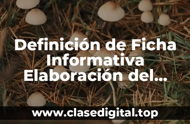 Definición de Ficha Informativa Elaboración del Papel