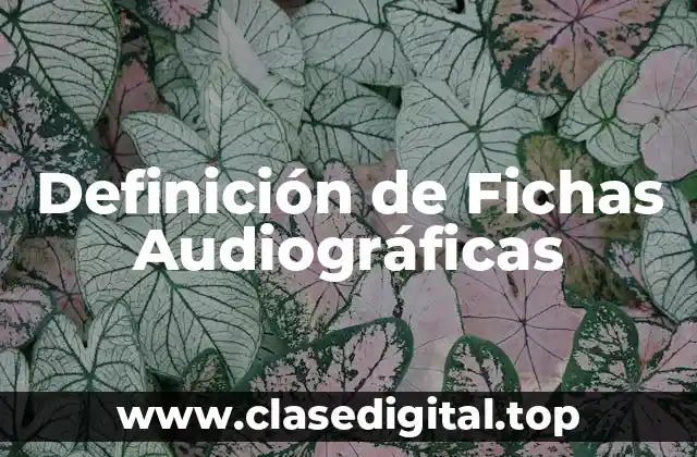 Definición de Fichas Audiográficas