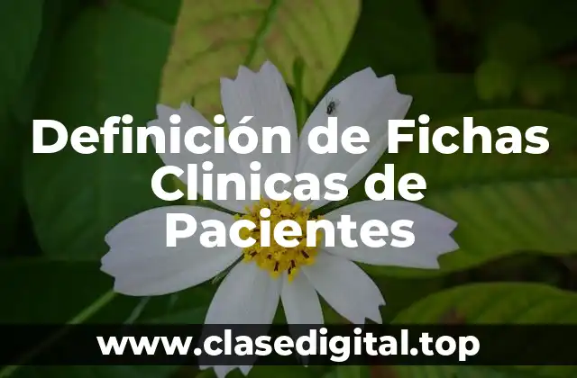 Definición de Fichas Clinicas de Pacientes