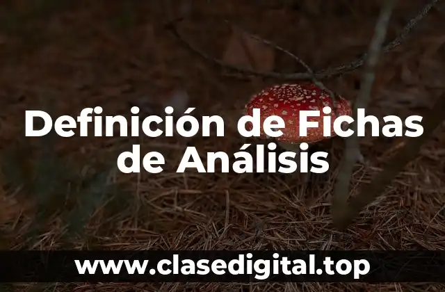 Definición de Fichas de Análisis