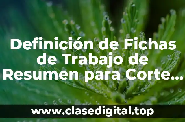 Definición de Fichas de Trabajo de Resumen para Corte Grado