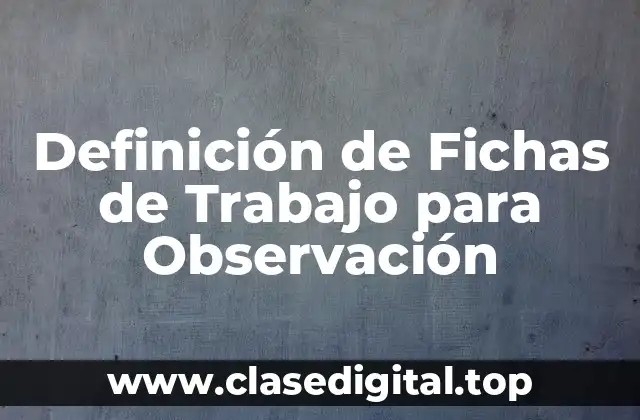 Definición de Fichas de Trabajo para Observación
