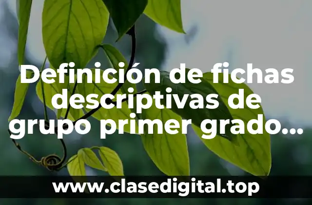 Definición de fichas descriptivas de grupo primer grado primaria