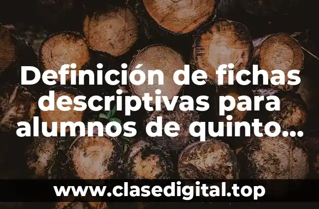 Definición de fichas descriptivas para alumnos de quinto grado primaria