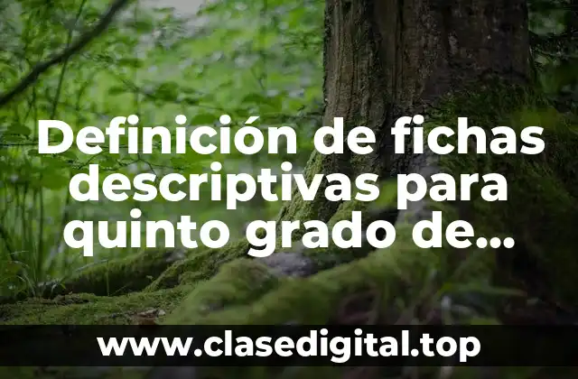 Definición de fichas descriptivas para quinto grado de primaria