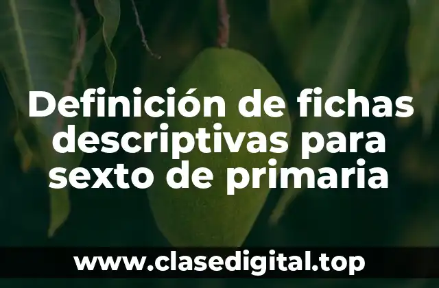 Definición de fichas descriptivas para sexto de primaria