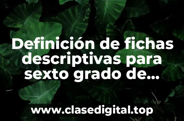 Definición de fichas descriptivas para sexto grado de primaria