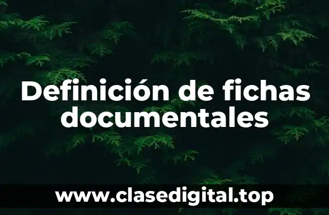 Definición de fichas documentales