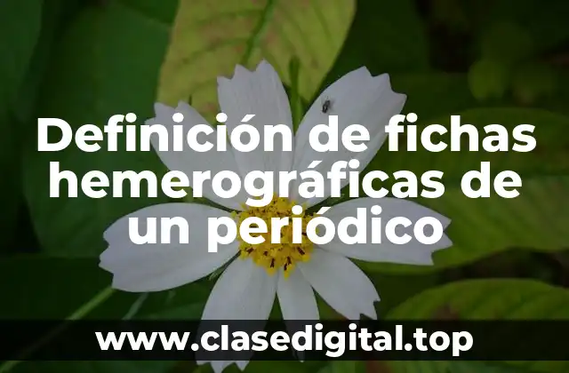 Definición de fichas hemerográficas de un periódico