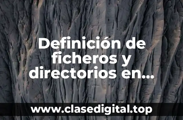 Definición de ficheros y directorios en sistemas operativos