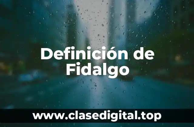 Definición de Fidalgo