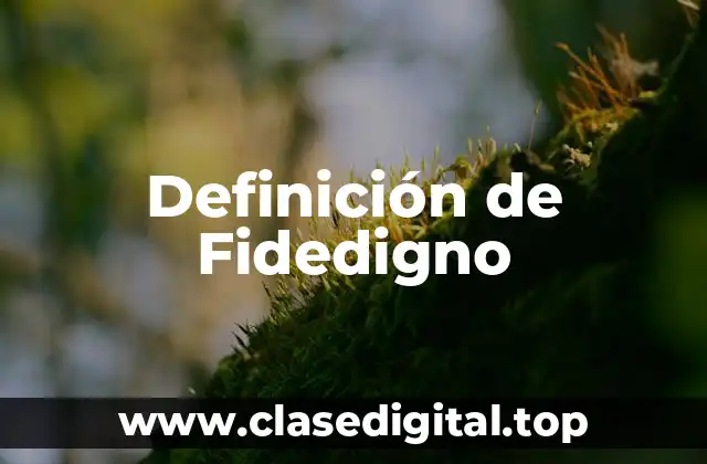 Definición Técnica de Fidedigno
