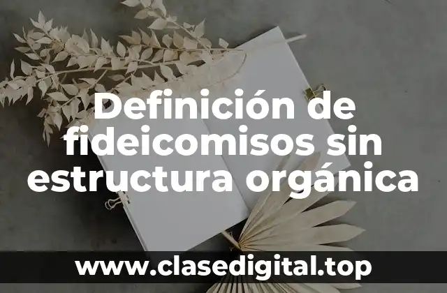 Definición de fideicomisos sin estructura orgánica