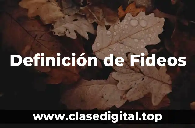 Definición de Fideos