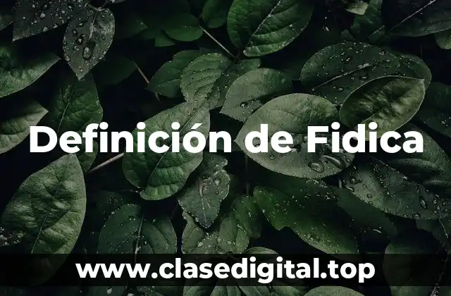 Definición de Fidica