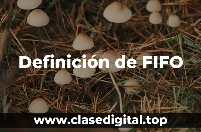Definición técnica de FIFO