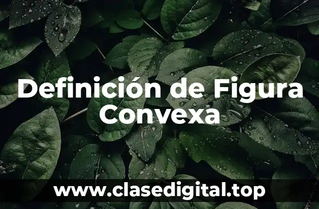 Definición de Figura Convexa