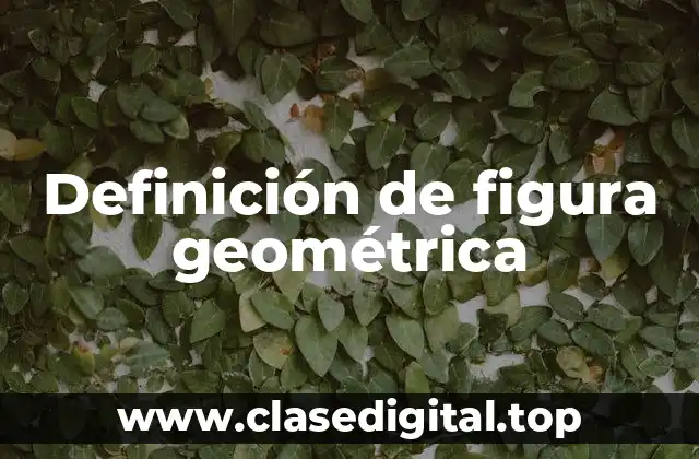 Definición técnica de figura geométrica