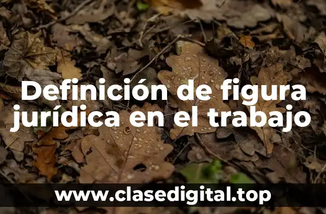 Definición de figura jurídica en el trabajo
