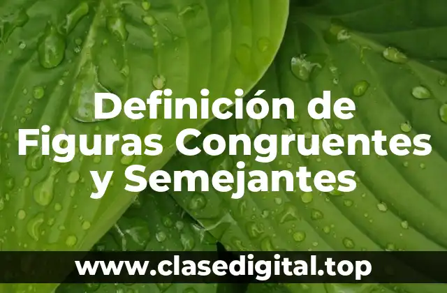 Definición de Figuras Congruentes y Semejantes