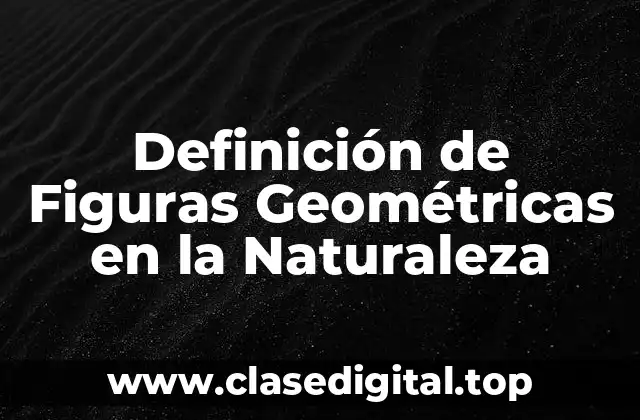 Definición de Figuras Geométricas en la Naturaleza