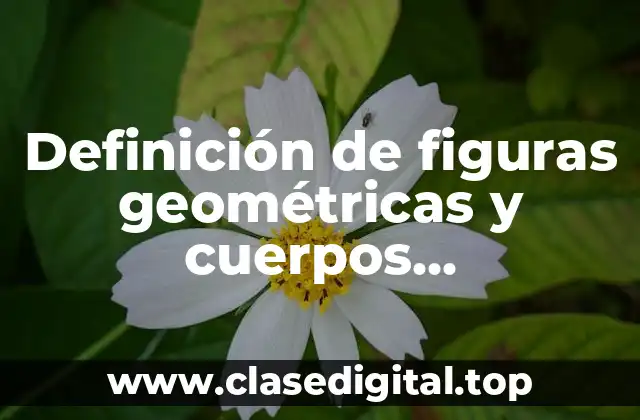 Definición de figuras geométricas y cuerpos geométricos