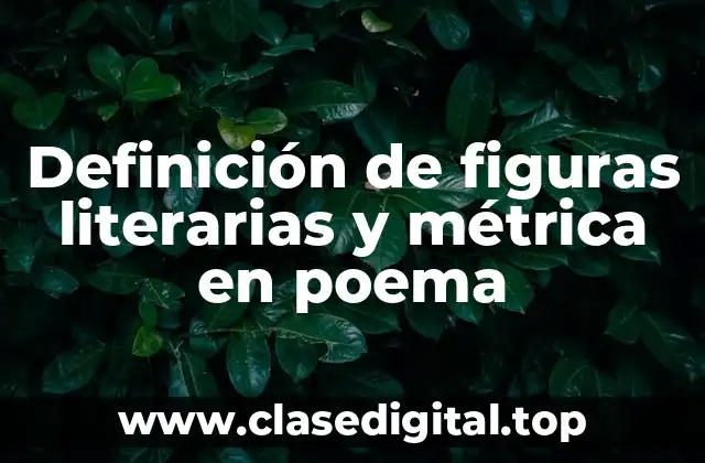 Definición de figuras literarias y métrica en poema