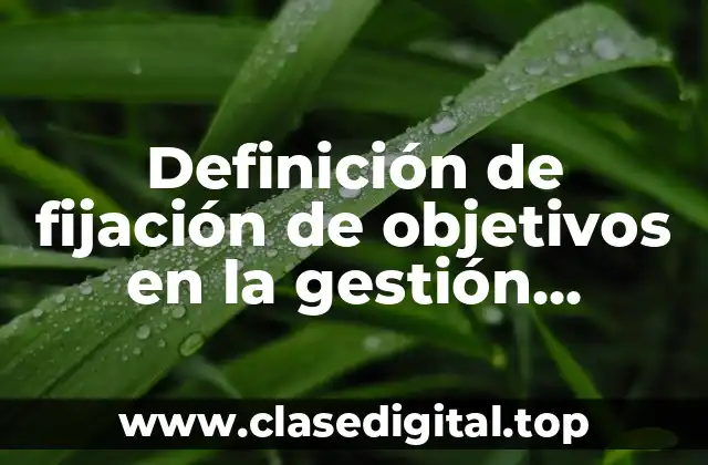 Definición de fijación de objetivos en la gestión empresarial