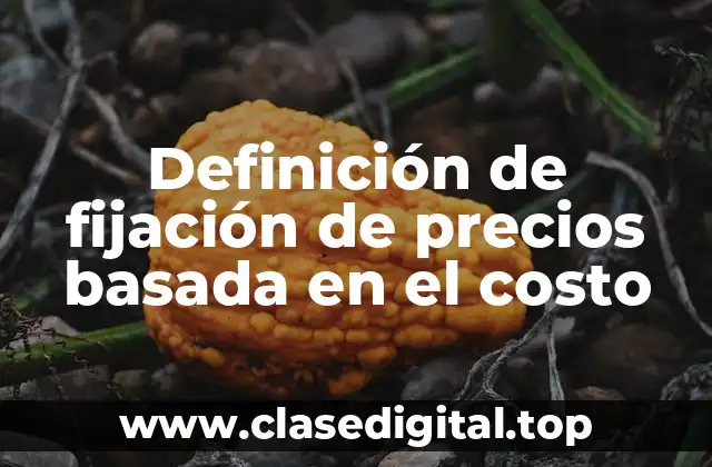 Definición de fijación de precios basada en el costo