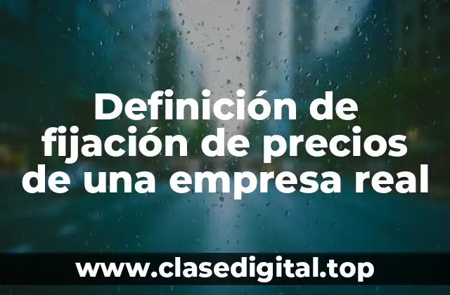 Definición de fijación de precios de una empresa real