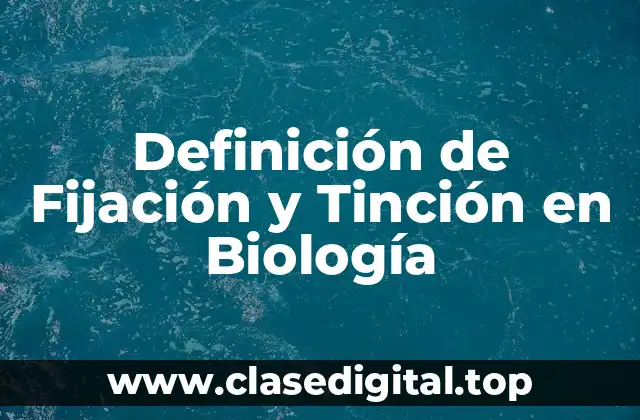 Definición de Fijación y Tinción en Biología