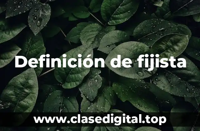 Definición de fijista