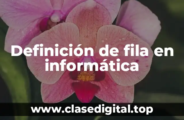 Definición de fila en informática