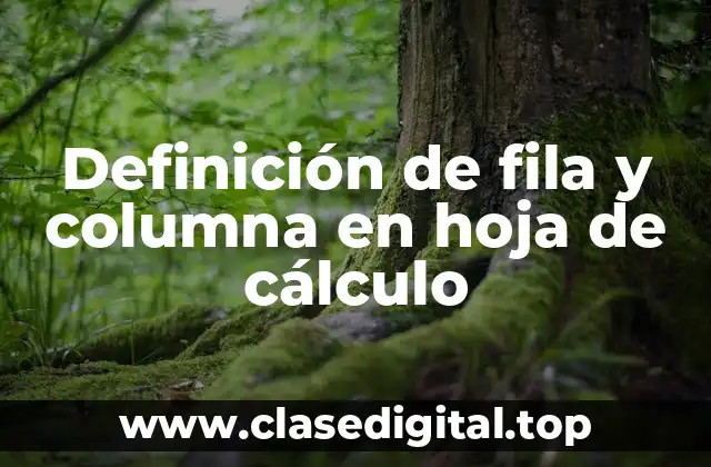 Definición de fila y columna en hoja de cálculo