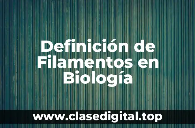 Definición de Filamentos en Biología