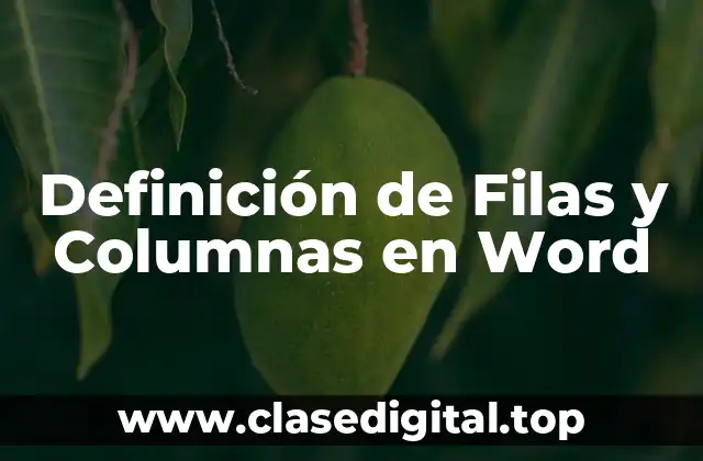 Definición de Filas y Columnas en Word