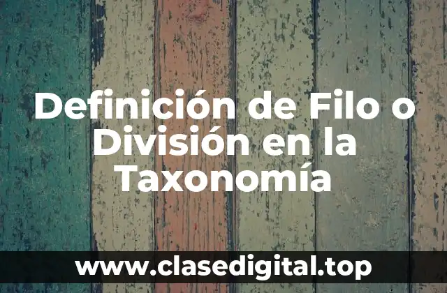 Definición de Filo o División en la Taxonomía