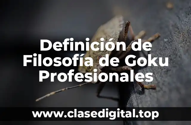 Definición de Filosofía de Goku Profesionales