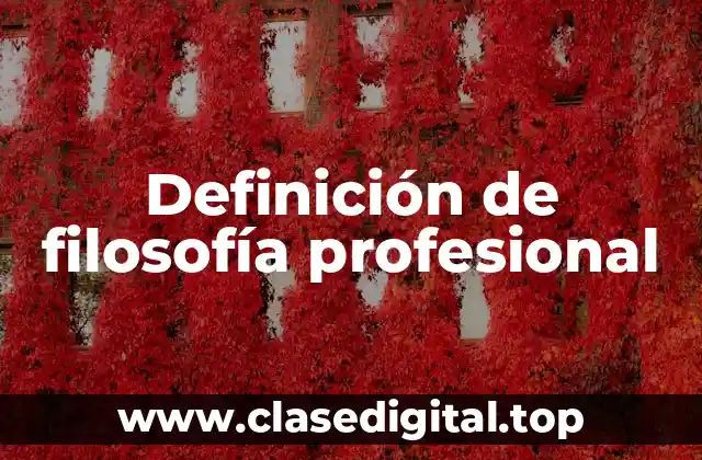 Definición de filosofía profesional