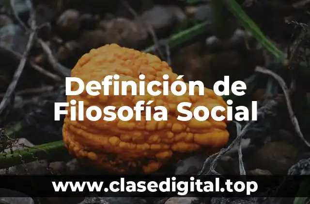 Definición de Filosofía Social
