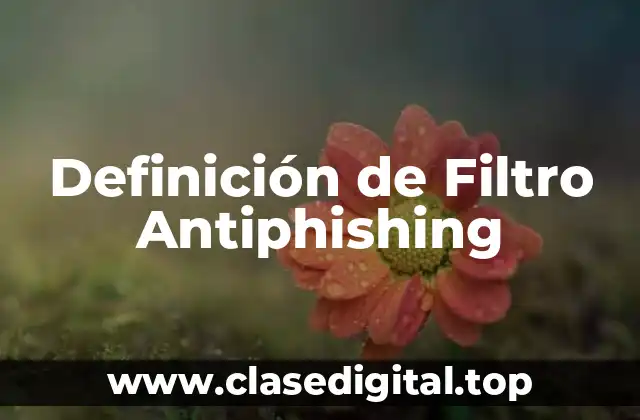 Definición de Filtro Antiphishing