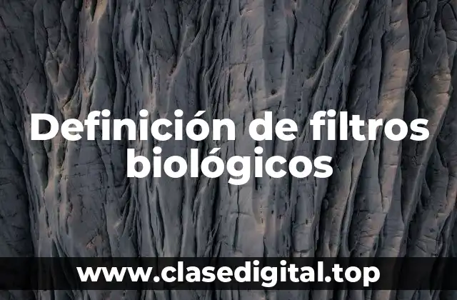 Definición de filtros biológicos