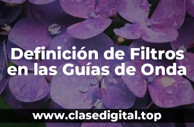 Definición de Filtros en las Guías de Onda
