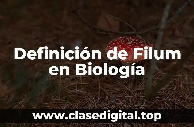 Definición de Filum en Biología